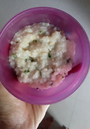 Foto resep Bubur Nasi Mpasi 9+