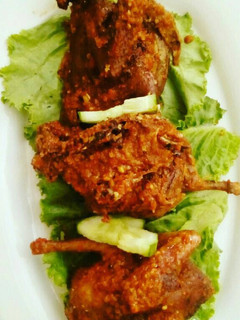 A picture of Spicy pigeon.