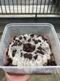 Puding Oreo Fla Coklat