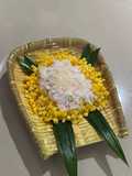 Grontol Jagung
