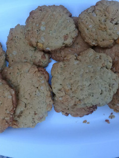 A picture of Peanut butter cookies.