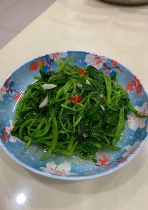 辣炒芥菜苗 的食譜成品照片
