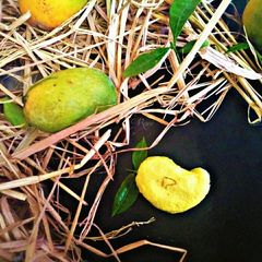 A picture of Mango Kesar Sandesh.