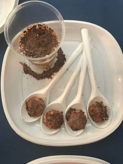 Una foto de Bolitas de queso con uva y chocolate