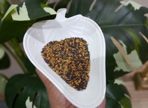 Foto resep Halba Campur untuk Kari Ikan