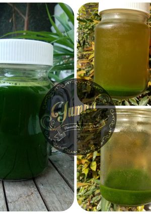 Foto resep Endapan pandan suji