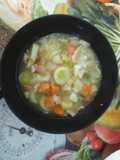 Sopa Cultivateur