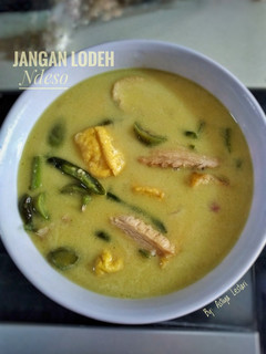 Foto resep Jangan Lodeh Ndeso/Sayur Lodeh Terong, Tahu dan Pindang
