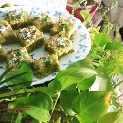 A picture of Green Dhoklas goodness of coriander and mint.