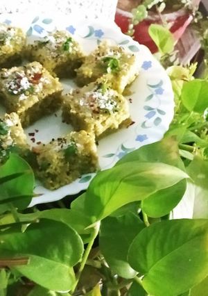 A picture of Green Dhoklas goodness of coriander and mint.