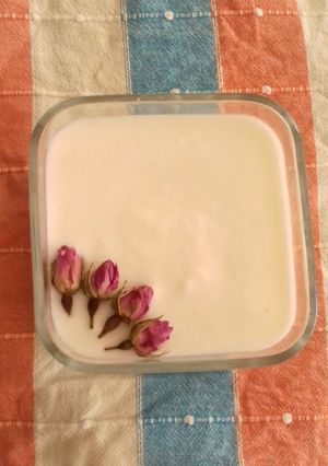 عکسی از دستور ماست خونگی به روش مامانم