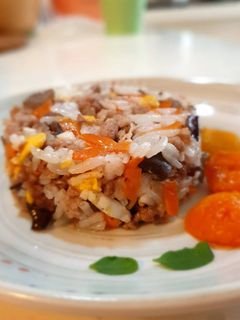 狗狗鮮食 - 牛肉炒飯 的食譜成品照片