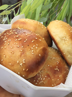 A picture of Burger Buns #teamtrees.