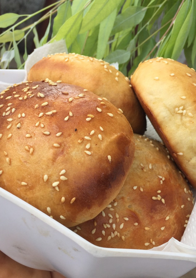 A picture of Burger Buns #teamtrees.