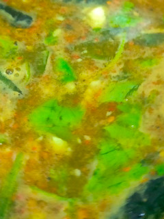 பூண்டு ரசம் செய்முறை முக்கிய புகைப்படம்