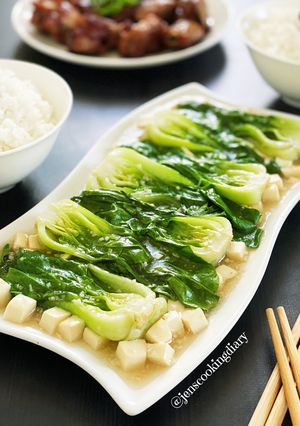 A picture of Japanese Tofu Bok Choi Oyster Sauce.