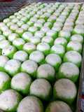 Putu Ayu Lembut