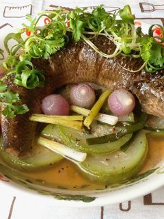 Hình của món Cá lóc hấp bầu.