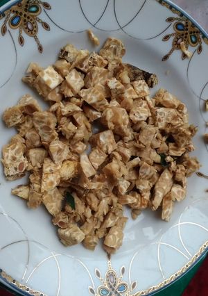 Foto resep Membuat tempe busuk Premium