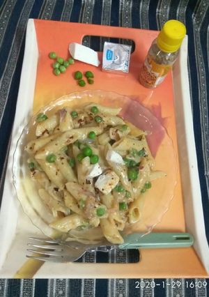 A picture of White sauce pasta.