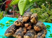Gambar tahu gulung nori