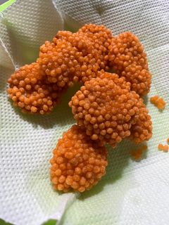 Foto resep Nugget crumbs home made