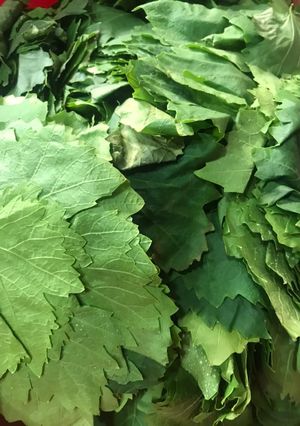 A picture of Grape Leaf Preserving Methods.
