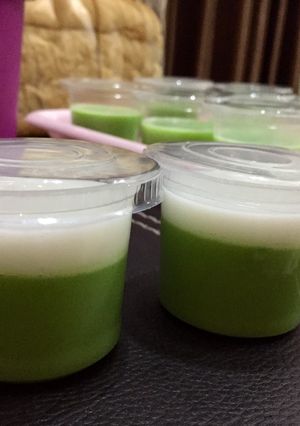 Foto resep Puding pandan fla santan praktis (nutrijel)