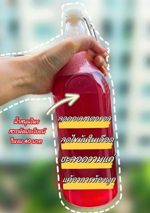 รูปของ สูตรน้ำสมุนไพรลดไขมัน อ้วน