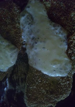 Una foto de Milanesa de berenjenas
