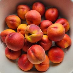 PEACH 🍑 SAUCE A picture of PEACH 🍑 SAUCE.
