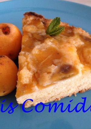 Foto principal de Pastel de bizcocho de nísperos