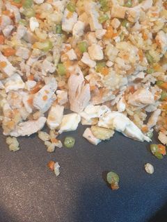 狗狗鮮食~雞肉黃金蛋炒飯(備食容易) 的食譜成品照片