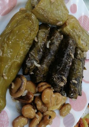 صورة لوصفة دولمه بالشبت بدون معجون طماطم