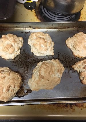 A picture of Normal Beer Biscuits.