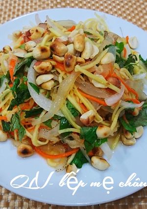 Hình của món Gỏi sứa xoài xanh.