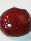Falsa esfera de mango
