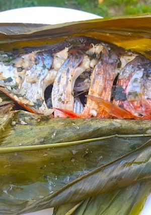 Una foto de Enchipado de paco 🐠 en la selva