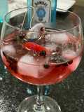 Gin com tônica e especiarias