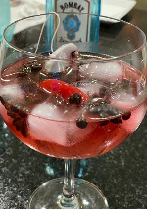Foto de Gin com tônica e especiarias