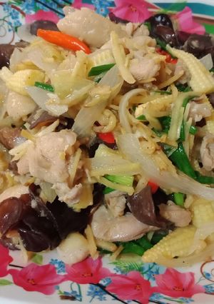 รูปของ ไก่ผัดขิง