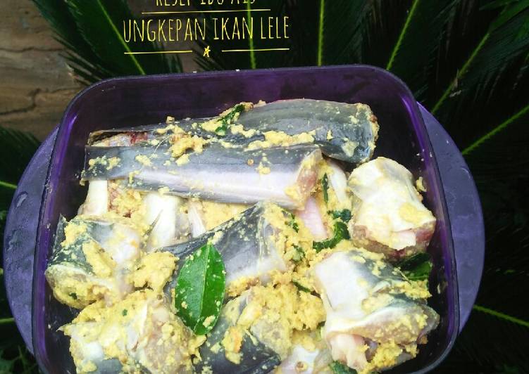 Ungkepan Ikan Lele🐬