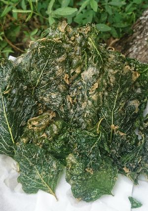 Foto resep Keripik Bayam Crispy