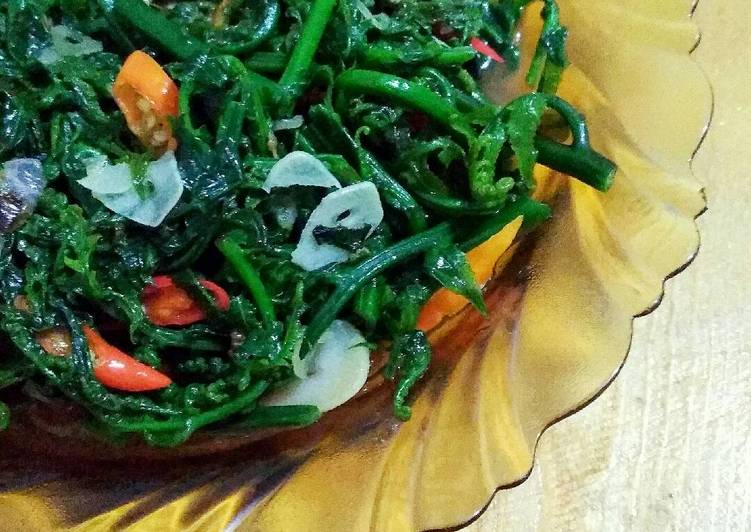 Tumis Paku/ Pakis Saus Tiram