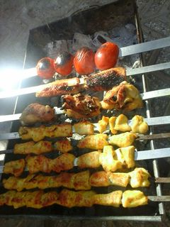 عکسی از دستور جوجه کباب فرنوشا