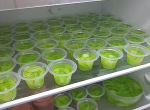 Foto resep Puding Melon Kelapa Muda KW