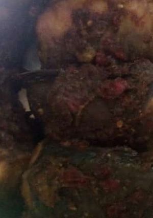 A picture of My new fish.