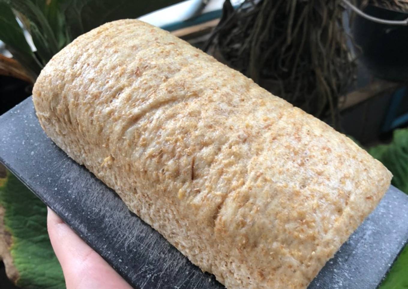 Roti Tawar Gandum Kukus