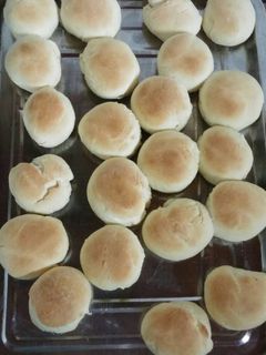 Una foto de Pancito básico!