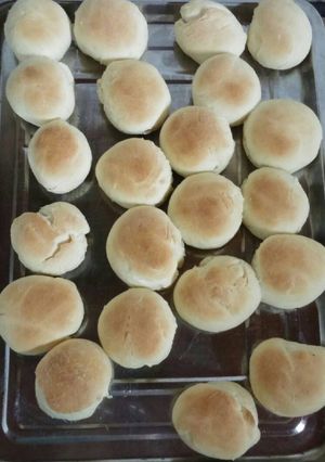 Una foto de Pancito básico!